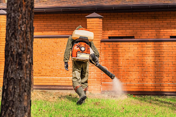Trusted Cockroach Control service in North Lakes, AK - Nex Pest Control